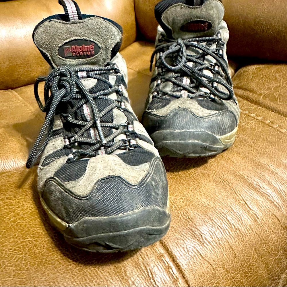 Alpine hiking boots